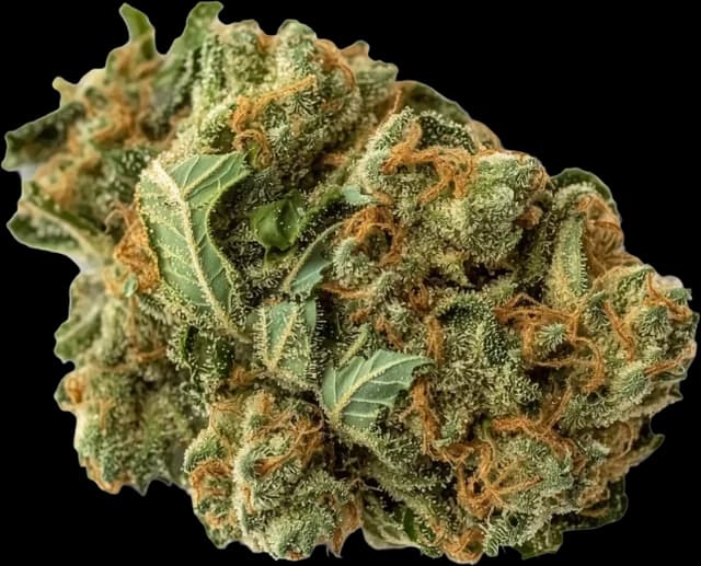 Super Boof flower